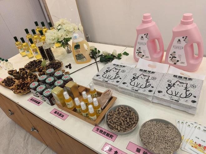 滴油流出广东韶关油茶产业新未来麻将胡了从餐桌走向梳妆台 一(图2) 滴油流出广东韶关油茶产业新未来麻将胡了从餐桌走向梳妆台 一(图2)